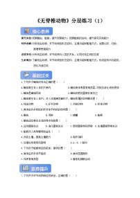 生物七年级上册（2024）线虫动物和环节动物精品第1课时课后练习题