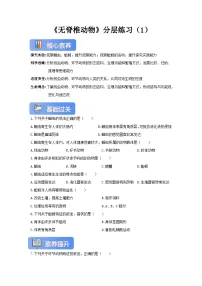 生物七年级上册（2024）线虫动物和环节动物精品第1课时课后练习题