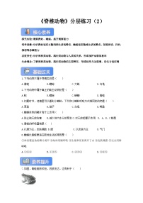 初中生物冀少版（2024）七年级上册（2024）两栖类和爬行类精品第2课时习题