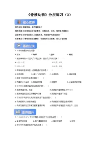 冀少版（2024）七年级上册（2024）鸟类优秀第3课时课后测评