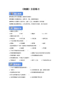 初中生物冀少版（2024）七年级上册（2024）细菌优秀精练