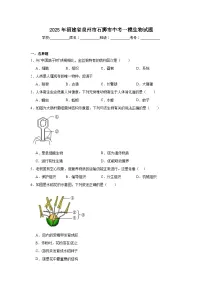 2025年福建省泉州市石狮市中考一模生物试题（附答案解析）