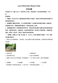 2025年山东省枣庄市中考生物真题含答案