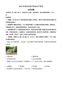 2025年山东省枣庄市中考生物真题含答案