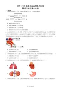 2021-2025北京初二二模生物汇编：输送血液的泵—心脏 有答案