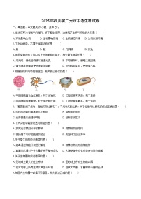 2025年四川省广元市中考生物试卷（含答案）