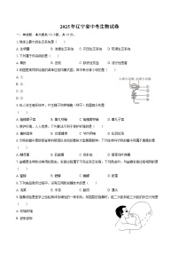 2025年辽宁省中考生物试卷（含解析）