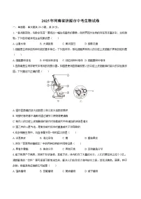 2025年河南省济源市中考生物试卷（含解析）