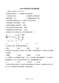 2025年贵州省中考生物试卷（含解析）