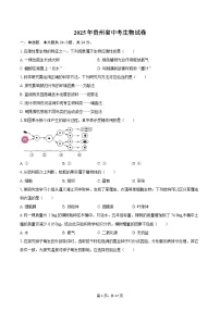 2025年贵州省中考生物试卷（含解析）