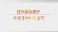 初中生物人教版（2024）八年级上册（2024）综合实践项目 设计并制作生态瓶图片ppt课件