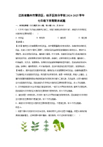 2024-2025学年江西省赣州市章贡区、经开区部分学校七年级下学期期末生物试卷（解析版）