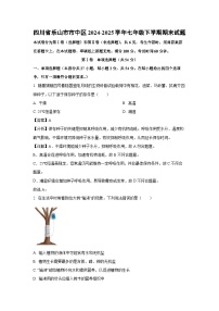 2024-2025学年四川省乐山市市中区七年级下学期期末生物试卷（解析版）