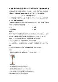 2024-2025学年四川省乐山市市中区七年级下学期期末生物试卷（解析版）