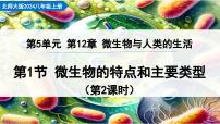 初中北师大版（2024）微生物的特点和主要类型教课内容课件ppt