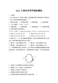 八年级上册（2024）第一节 人体对外界环境的感知精品同步测试题