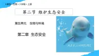 人教版（2024）八年级上册（2024）第二节 维护生态安全获奖教学课件ppt