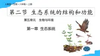 人教版（2024）八年级上册（2024）第二节 生态系统的结构和功能精品教学课件ppt