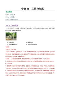 2025年中考生物真题分类汇编：专题01 生物和细胞（全国通用）（第01期）（解析版）
