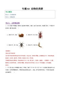 2025年中考生物真题分类汇编：专题03 动物的类群（全国通用）（第01期）（解析版）