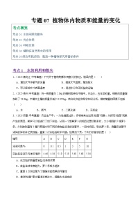 2025年中考生物真题分类汇编：专题07 植物体内物质和能量的变化（全国通用）（第01期）（原卷版）