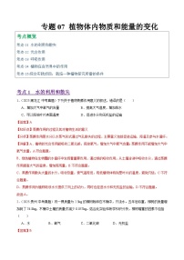 2025年中考生物真题分类汇编：专题07 植物体内物质和能量的变化（全国通用）（第01期）（解析版）