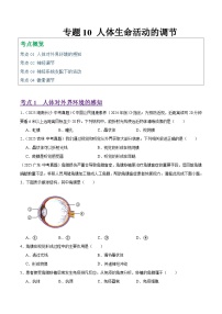 2025年中考生物真题分类汇编：专题10 人体生命活动的调节（全国通用）（第01期）（原卷版）