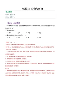2025年中考生物真题分类汇编：专题12 生物与环境（全国通用）（第01期）（解析版）