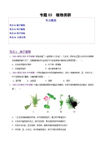 2025年中考生物真题分类汇编：专题03 植物类群（全国通用）（第02期）（原卷版）