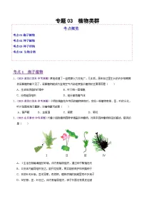 2025年中考生物真题分类汇编：专题03 植物类群（全国通用）（第02期）（原卷版）