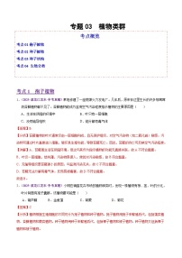2025年中考生物真题分类汇编：专题03 植物类群（全国通用）（第02期）（解析版）