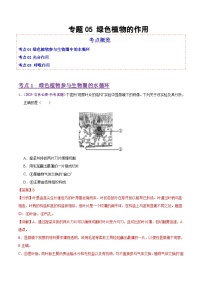 2025年中考生物真题分类汇编：专题05 绿色植物的作用（全国通用）（第02期）（解析版）