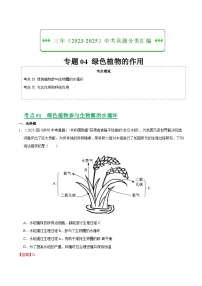 三年（2023-2025）中考生物真题分类汇编：专题04 绿色植物的作用（全国通用）（解析版）