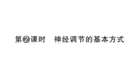 初中人教版（2024）第二节 神经调节作业课件ppt