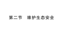 初中生物人教版（2024）八年级上册（2024）第二节 维护生态安全作业课件ppt