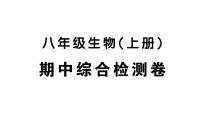 初中生物新人教版八年级上册期中综合检测卷作业课件（含答案）（2025秋）