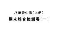 初中生物新人教版八年级上册期末综合检测卷（一）作业课件（含答案）（2025秋）
