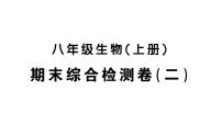 初中生物新人教版八年级上册期末综合检测卷（二）作业课件（含答案）（2025秋）