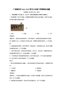 广西柳州市2024-2025学年七年级下学期期末生物试卷（解析版）