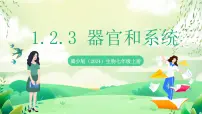 初中生物冀少版（2024）七年级上册（2024）器官和系统完美版课件ppt