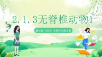 初中生物冀少版（2024）七年级上册（2024）无脊椎动物优质ppt课件