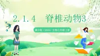 冀少版（2024）七年级上册（2024）无脊椎动物一等奖课件ppt