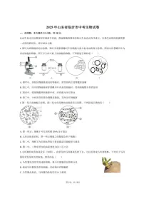 2025年山东省临沂市中考生物试卷（含答案）