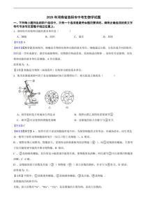 2025年河南省洛阳市中考生物学真题试题及同步解析