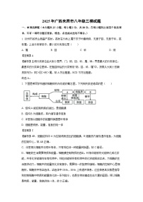 【生物】2025年广西来宾市八年级三模试题（解析版）