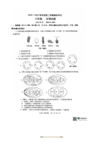2025年陕西省西安高新第一中学初中部中考四模生物试卷(无答案)