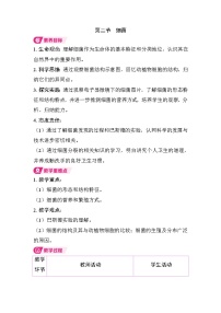 初中生物人教版（2024）七年级上册（2024）细菌教学设计及反思