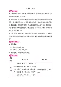 初中生物人教版（2024）七年级上册（2024）病毒教案设计