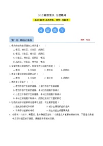 初中生物冀少版（2024）八年级上册（2024）第二节 根的生长精品同步练习题