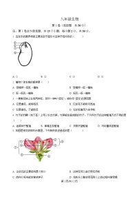 山东省济南市济阳区2024-2025学年八年级上学期期中生物学试题